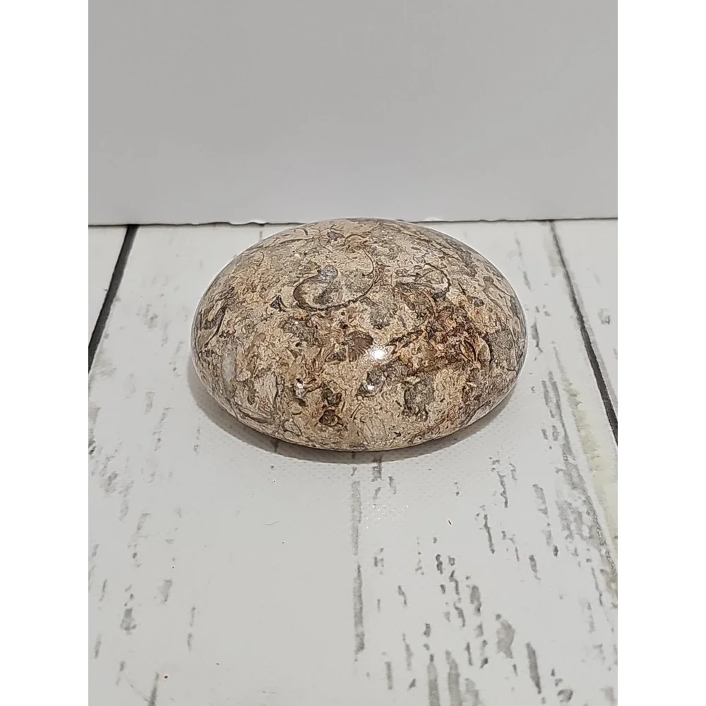 POLISHED SHELL FOSSIL PAPERWEIGHT. 3